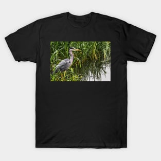 The Patient Fisherman T-Shirt